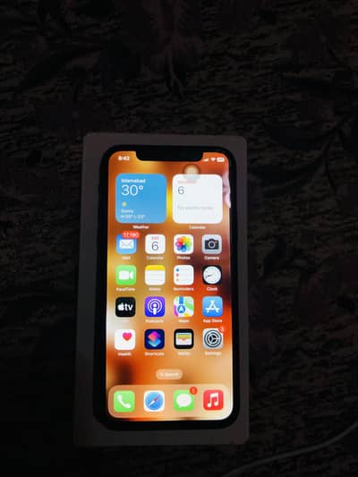 iPhone X pta approved with box