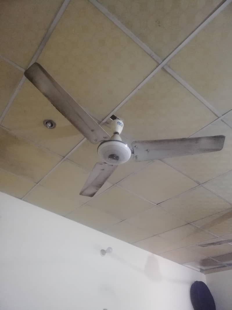 pak fan 0