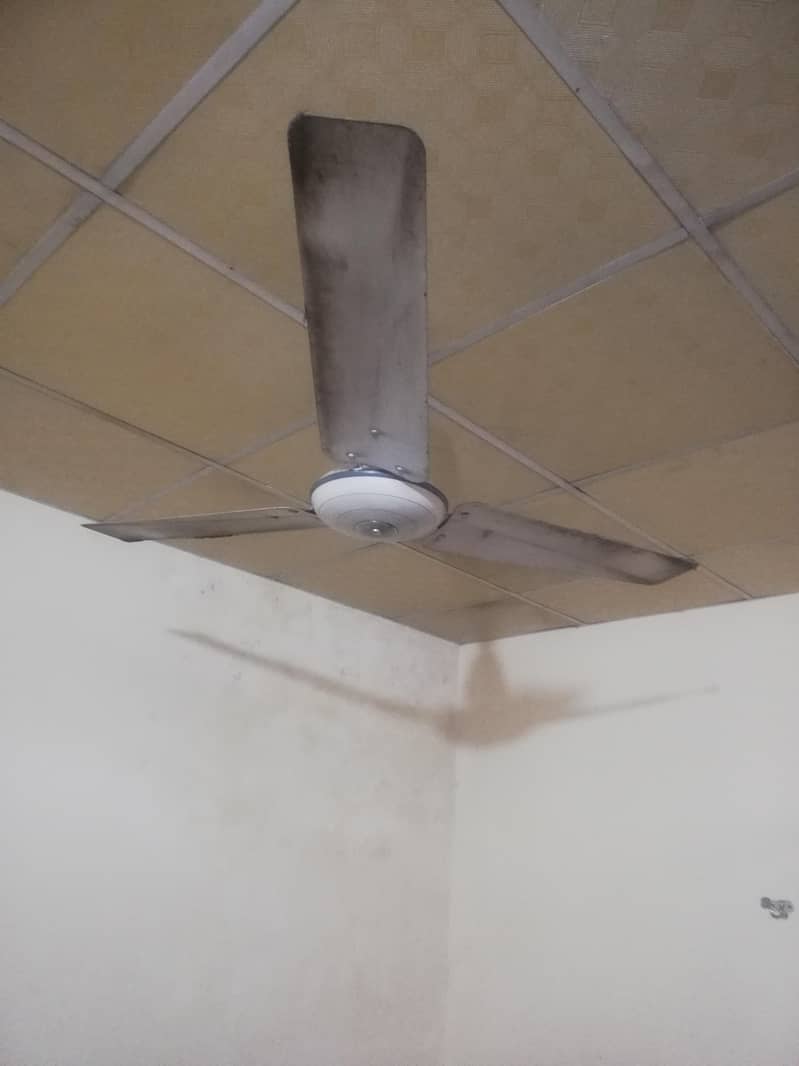pak fan 1