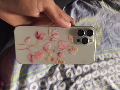 Apple iPhone 12 Pro Max factory unlocked