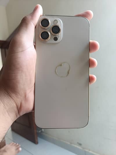 Apple iPhone 12 Pro Max