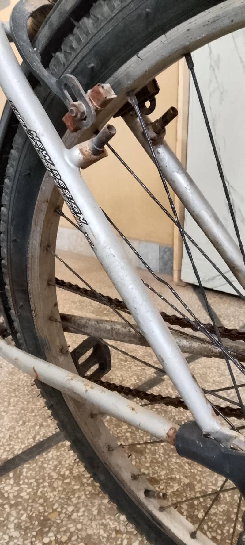 Cycle  5