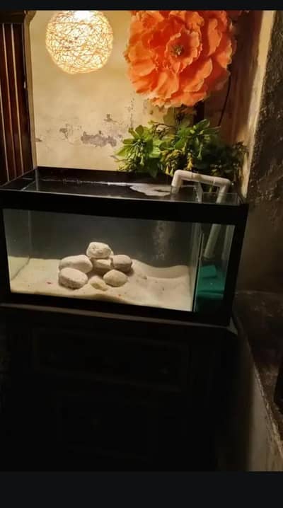 Fish Aquarium with sump filter