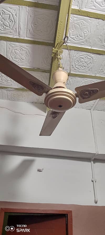 5 quantity celling fan  urgent sell