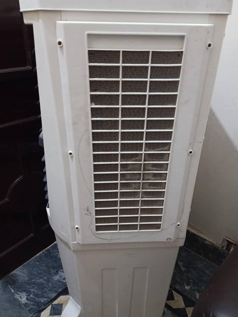 A one Elegant Model 1