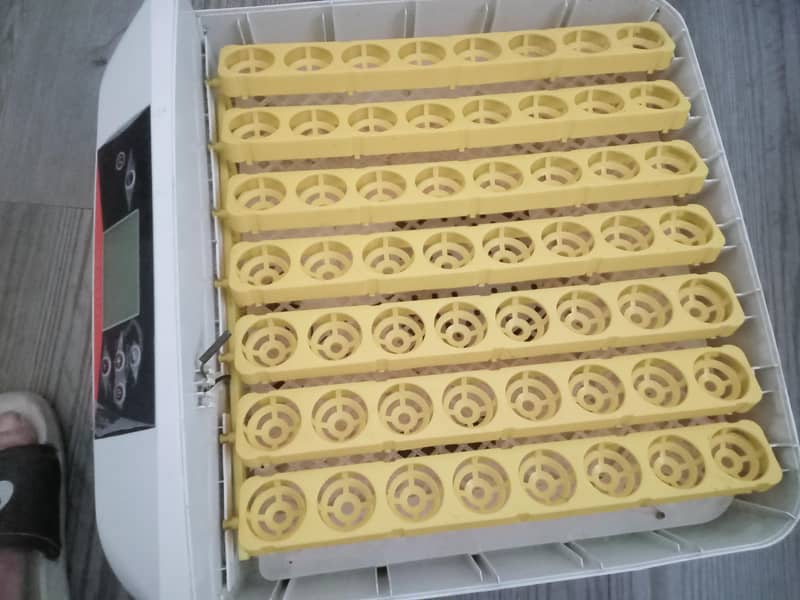 incubators 1