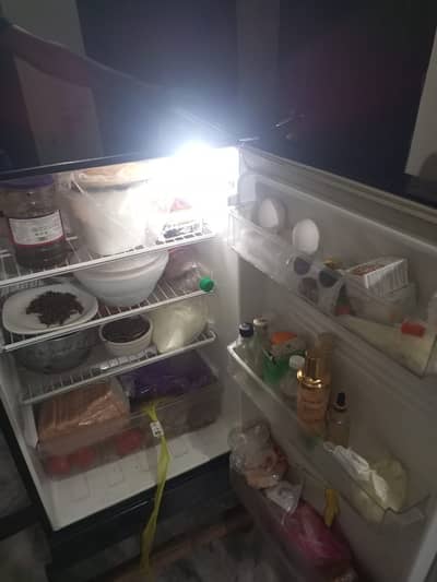 Pel Refrigerator For Sale Excellent Condition