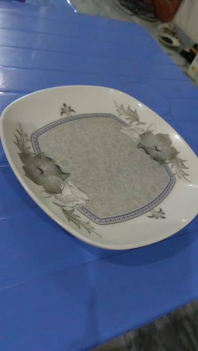 Plastic Plates Set of 6
