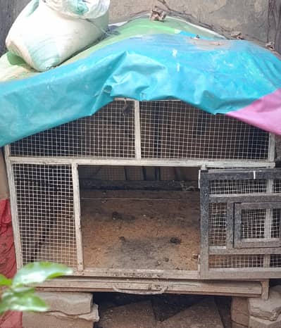 Cage / Coop for Birds 2.5 By 2.5 Feet Size