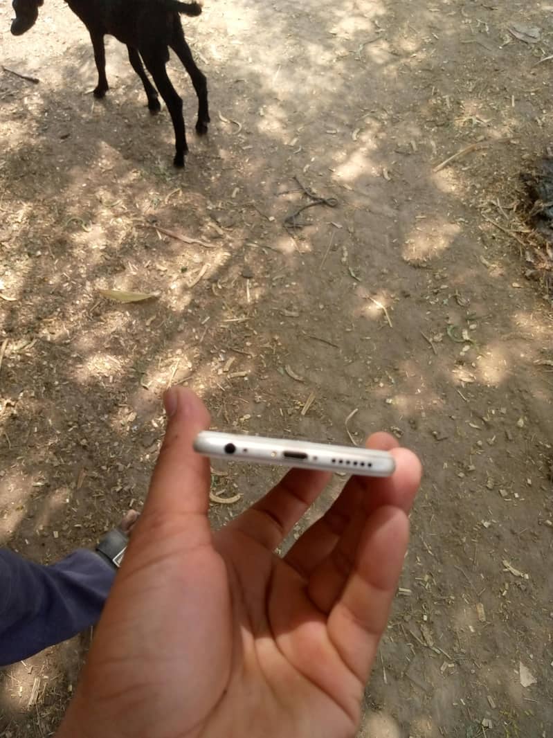 Apple iPhone 6 4