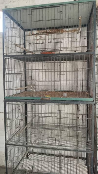 Cage for sale