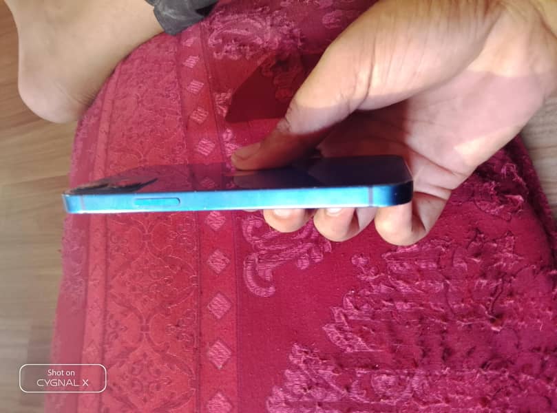 Apple iPhone 12 mini 1