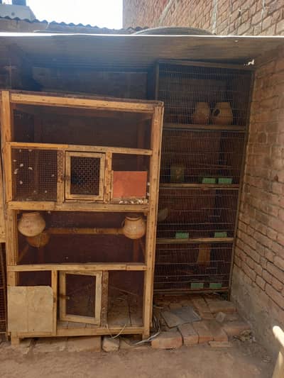 cages for sale