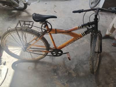 phoenix Bicycle for sale