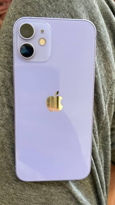 Apple iPhone 12 mini