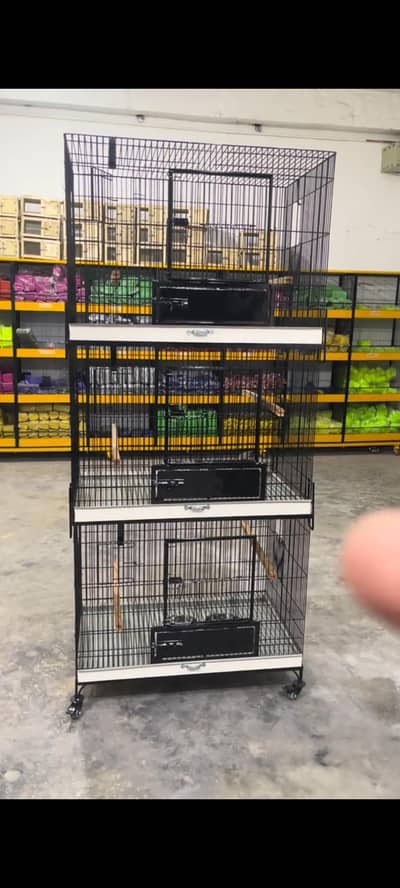 big bird cage available