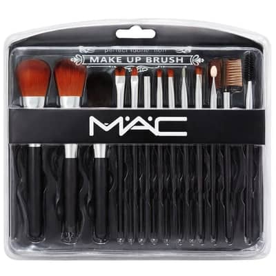 Professional Makeup Brush Kit 12 Pcs