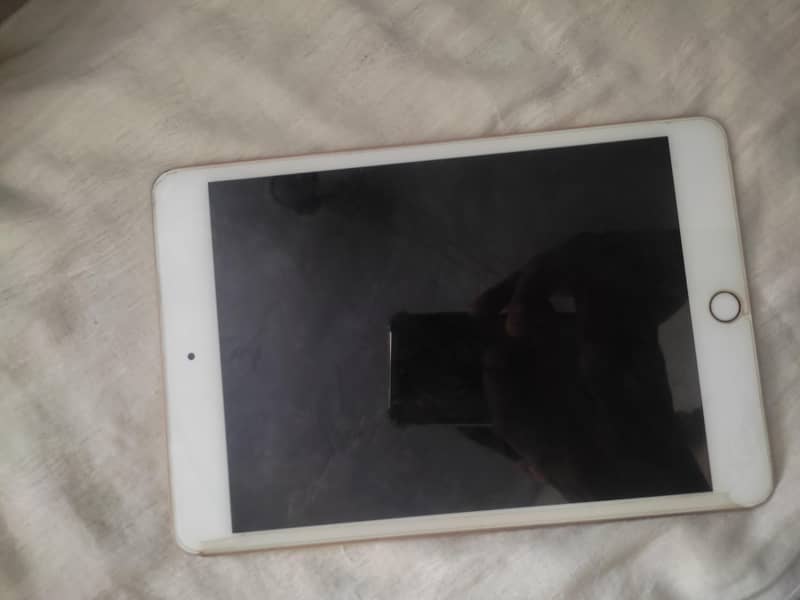 ipad mini5 03377005911 1