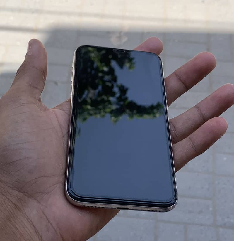 Apple iPhone X 1