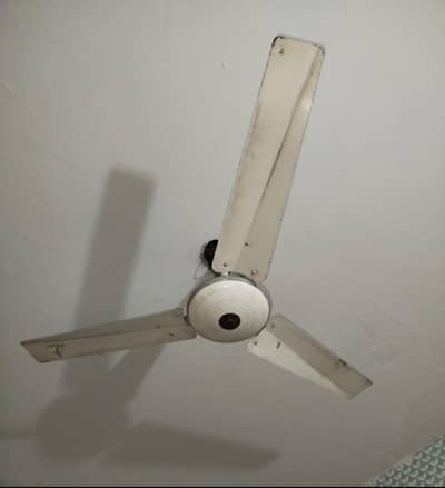 Younus Fan 100% copper