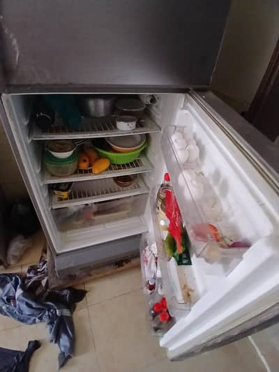 pel fridge
