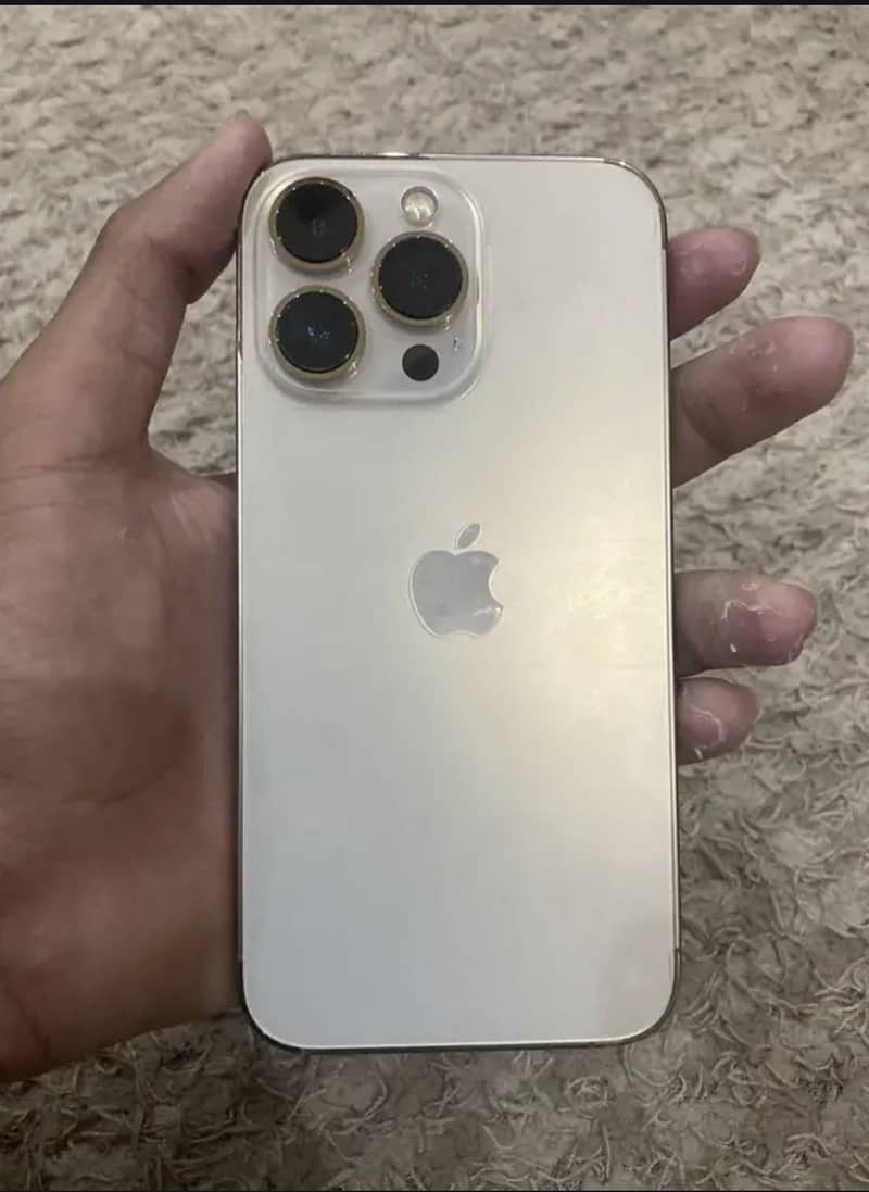 Apple iPhone 13 1