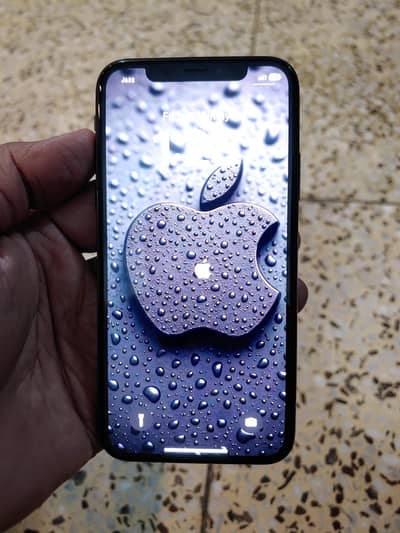 Apple iPhone X
