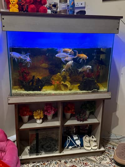 for sale with fish