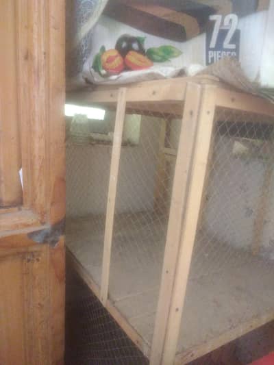 pinjra for sale 1 month used