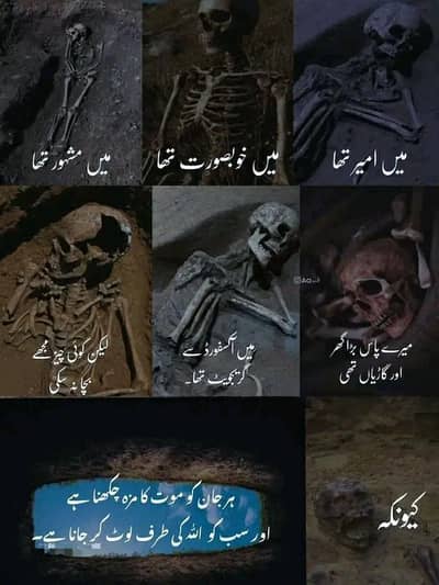 Need job