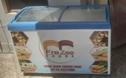 Varioline Glass top Sliding door Deep Freezer