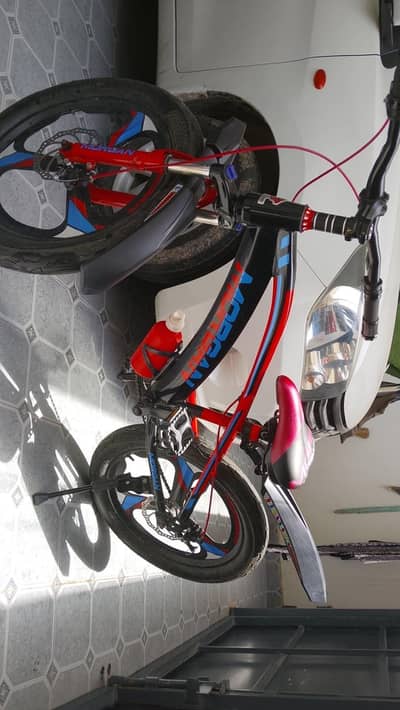 Morgan Bicycle Small Size – Well Maintained