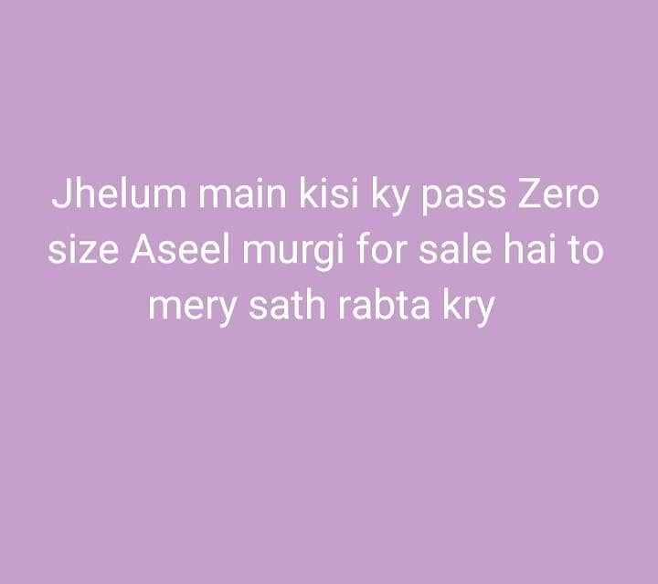 Zero Size Aseel Required 0