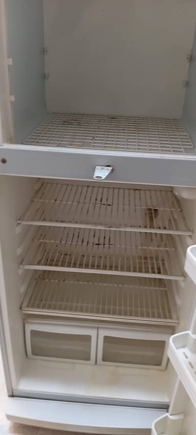 Haier frige