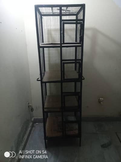 Birds cage for salle