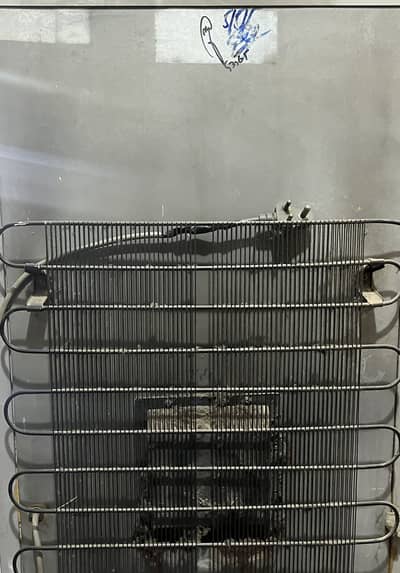 PEL Fridge