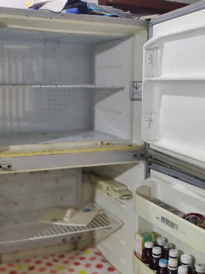 refrigerator Dowlanc