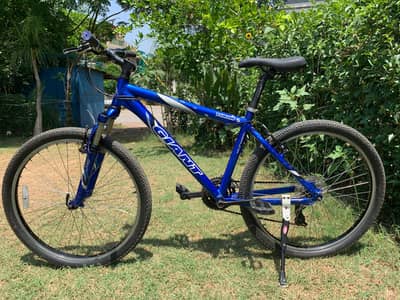 Giant 26" USA Import Mountain Bicycle