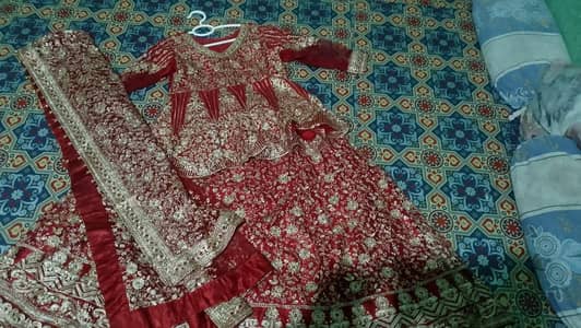 Bridal lehenga
