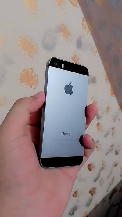 Apple iPhone 5s