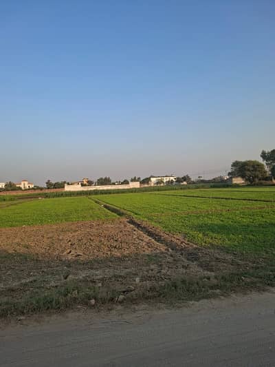 1.5 Acre Land For Sale Sialkot Dehlam Ghazi