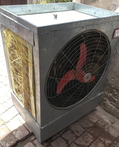 Air cooler for room
