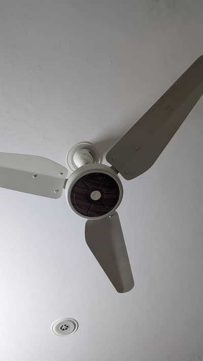 Lahore Fan-Magnum series Ceiling Fans for Sale