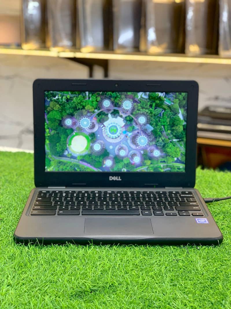 Dell 3100 0