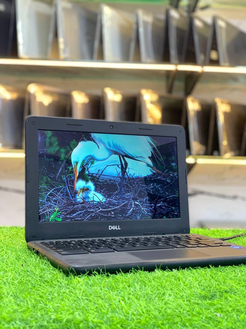 Dell 3100 1