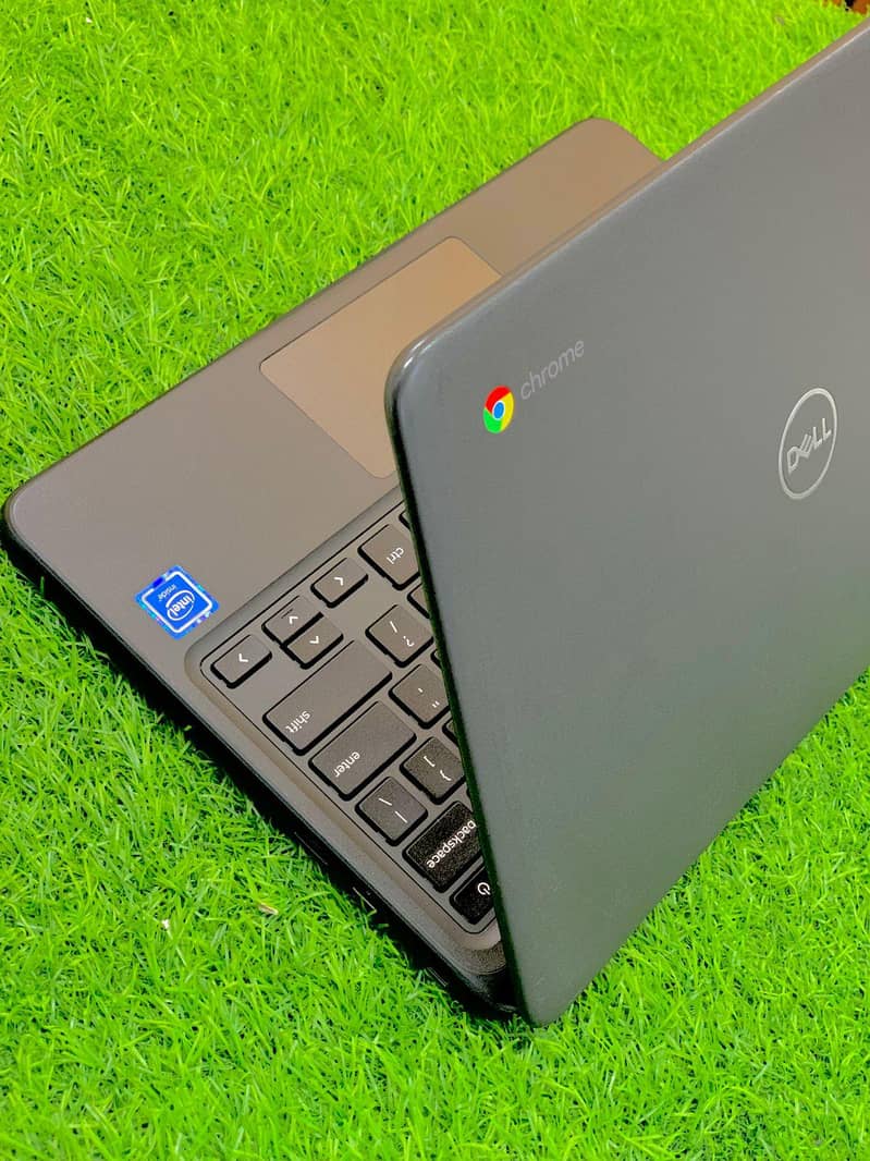 Dell 3100 2