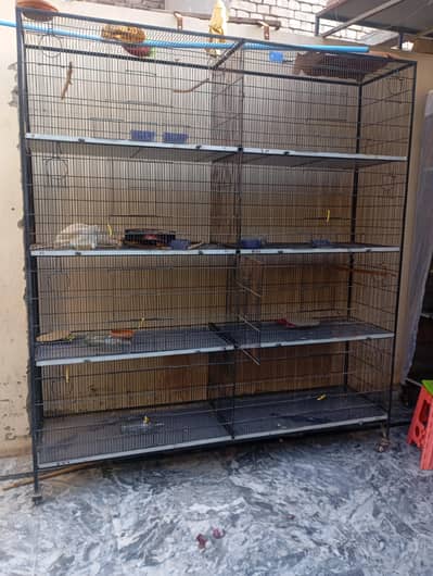cages for birds
