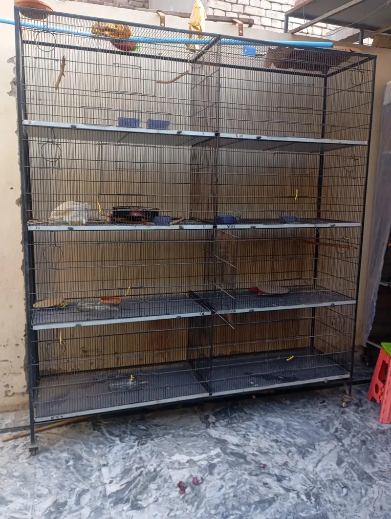 cages for birds