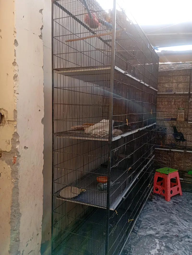 cages for birds — photo 2