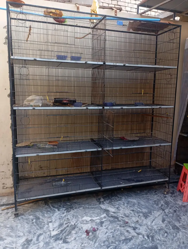 cages for birds — photo 4